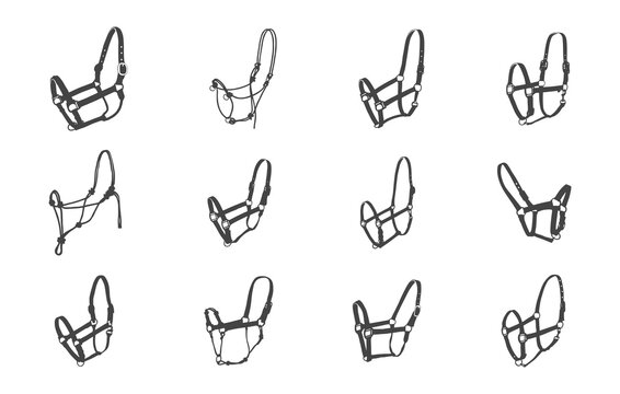 Horse halter silhouette, Horse halter svg, Halter svg, Halter silhouette, Animal halter silhouette, Animal halter svg, Horse halter vector illustration. 