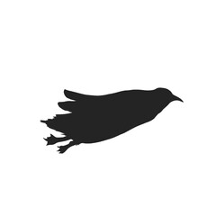 icon of a penguin launching into the water to hunt without background