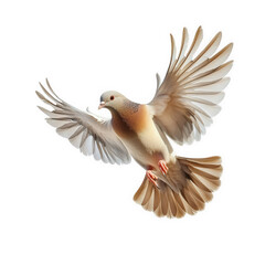 Obraz premium a beautifully illustrated bird in flight. showcasing its detailed feathers and graceful posture essence of freedom and nature. making it suitable for various artistic and educational purposes
