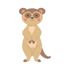 meerkat desert animal