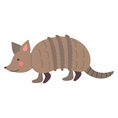 armadillo desert animal