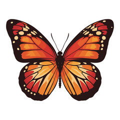 butterfly png image with transparent background