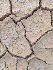 Dry, cracked soil indicates dryness or dehydration of the soil