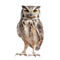 Naklejka premium standing owl with striking orange eyes and a detailed feather pattern. showcasing its majestic appearance against a white background this depiction highlights the beauty and uniqueness of owls. often