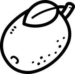 Kiwi doodle vector icon and illustration