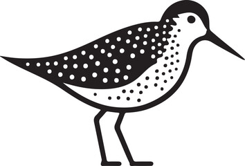 Spotted Sandpiper Vector Graphic Illustration Birdwatching and Wildlife Concept