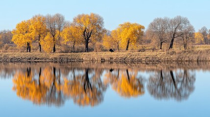 Obraz premium Serene autumn landscape with vibrant trees reflecting in calm water.