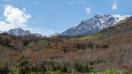 冠雪した白馬岳と紅葉する栂池高原をハイキングする