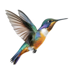 a vibrant hummingbird in mid-flight. showcasing its iridescent feathers and intricate details the bird is captured against a plain white background. emphasizing its colorful plumage and delicate wings