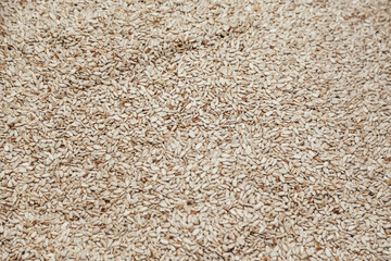 Peeled sunflower seeds background, food industry