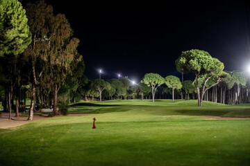 A beautifully lit golf course at night featuring lush green fairways, tall trees, and bright...