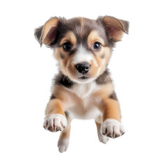 a cute. playful puppy is captured mid-air. showcasing its lively personality and adorable features against a clean. white background the joy and energy pets bring into our lives. making it suitable fo