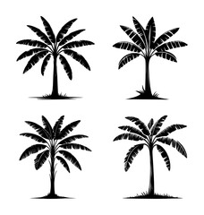 vector set silhouette of banana tree (artwork 1) © mr.mmz