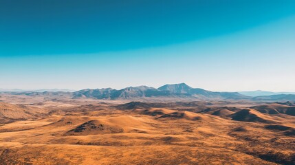 Naklejka premium Aerial view of golden sand dunes in a vast desert landscape under a clear blue sky, showcasing natural serenity.