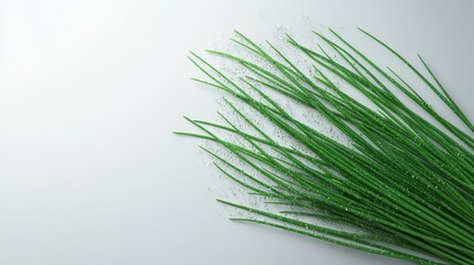 Obraz premium Fresh chives, dew drops, white background, recipe backdrop