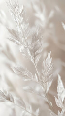 Delicate fern leaf in soft focus, showcasing intricate details and textures