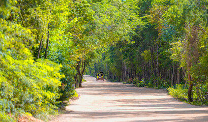 A red dirt road leading into the dense forest with yellow car - Chichen Itza, Mexico