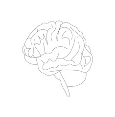 human brain illustration. One line brain design silhouette.Logo design. Hand drawn minimalism style. vector.	