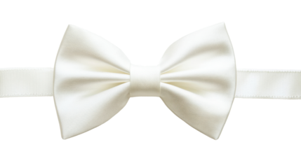 Bow tie transparent background