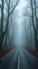 Misty Road Through a Mysterious Forest