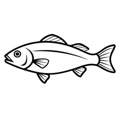 fish on a white background