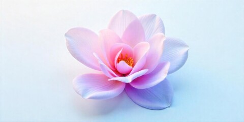 Fototapeta premium Abstract image of a flower in soft pastel colors, flowing, translucent petals with a blend of light pink, blue, and lavender hues, white background, centered composition