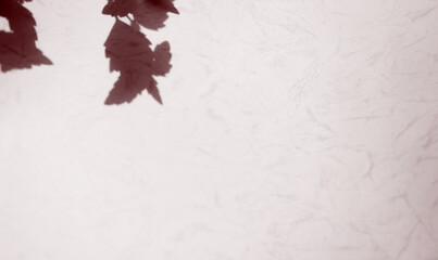 Beige background shadow greadation flower peach nude color gradient pastel abstract leaves pattern blur marble, mockup aesthetic wallapaper valentine sele presentation card overlay summer backdrop.