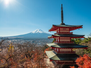 Naklejka premium Mount Fuji, the iconic symbol of Japan, during the season of autumn foliage, a period of exceptional beauty.kawaguchiko,japan.