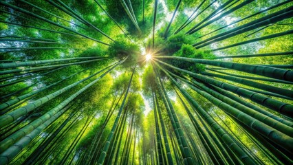 Obraz premium Aerial Bamboo Forest Texture Background, High-Resolution Drone Photography, Green Nature Scenery, Overhead View, Asian Plants, Bamboo Grove