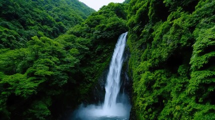 Majestic waterfall cascading through lush green forest nature photography serene landscape aerial view natural beauty