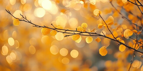 Branches adorned in golden yellow hues during autumn create a vibrant backdrop for a festive fall celebration. This serves as a perfect autumn themed postcard.