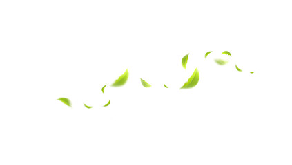 Flying leaves design, suitable for design elements on white background with clipping path