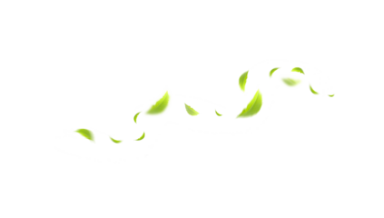 Flying leaves design, suitable for design elements on white background with clipping path