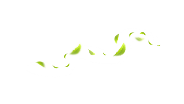 Flying leaves design, suitable for design elements on white background with clipping path