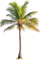 Striking image of six coconut trees showcasing tropical flair on a white canvas.