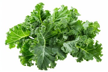 High Detail Picture of Fresh Kale Leaves Isolated on White