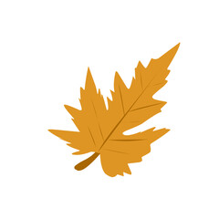 Fototapeta premium Illustration of orange autumn leaves 
