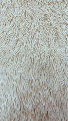 white wool texture