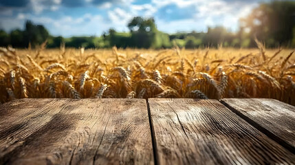 Empty Wooden Table Top with Blurred Wheat Field Background in Summer Sunlight.