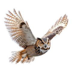 Obraz premium Elegant Flying Owl on a White Background for Nature and Wildlife Projects on Transparent Background