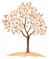 Fototapeta premium PNG Tree in bloom illustration blossoms flowers.