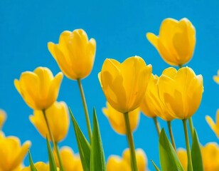 Obraz premium tulips with rich green leaves and a warm abstract blue background