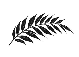Fototapeta premium Palm leaf isolated on a white background