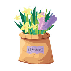 flowers narcissus, spring, in a paper bag, craft bag, bouquet, for a postcard, banner. Vector.