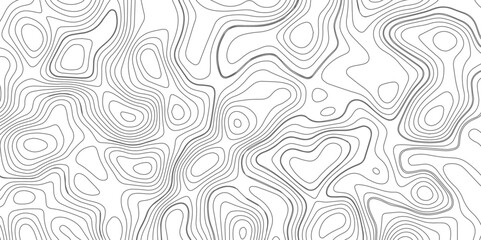 Abstract topography wave lines pattern on white background, topographic contours map background, geographic contour map vector background, White paper curved reliefs for background.