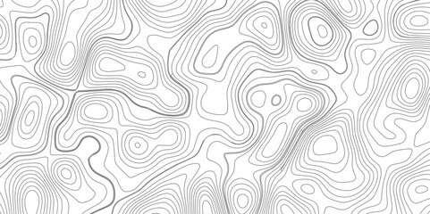 Abstract topography wave lines pattern on white background, topographic contours map background, geographic contour map vector background, White paper curved reliefs for background.