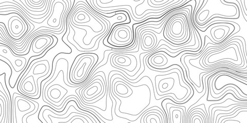 Abstract topography wave lines pattern on white background, topographic contours map background, geographic contour map vector background, White paper curved reliefs for background.