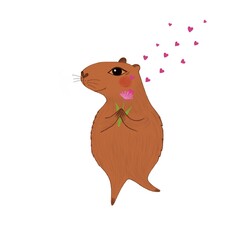 Illustration of cute, lovely and happy brown capybara with pink flower in paws and red hearts around on the white background.