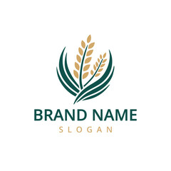 Rice Ears Icons, Cereal Spikes of Paddy or Jasmine, Vector Organic Product Labels. Rice Grain Food Signs of Premium Quality for Asian Cuisine or Flour.
