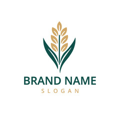 Rice Ears Icons, Cereal Spikes of Paddy or Jasmine, Vector Organic Product Labels. Rice Grain Food Signs of Premium Quality for Asian Cuisine or Flour.
